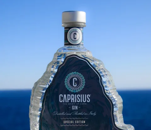 Immagine di Caprisius Special Edition – 500 ml – 43.0% vol.