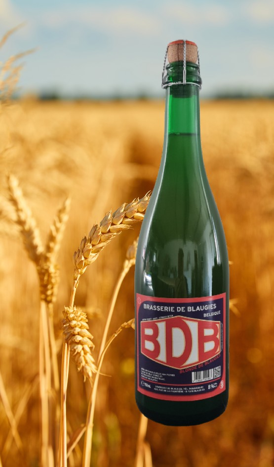 Blonde de Blaugies: vista principale